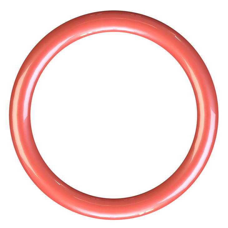 Solvent resistant PTFE or Teflon encapsulated O rings with viton or silicon elastomer core