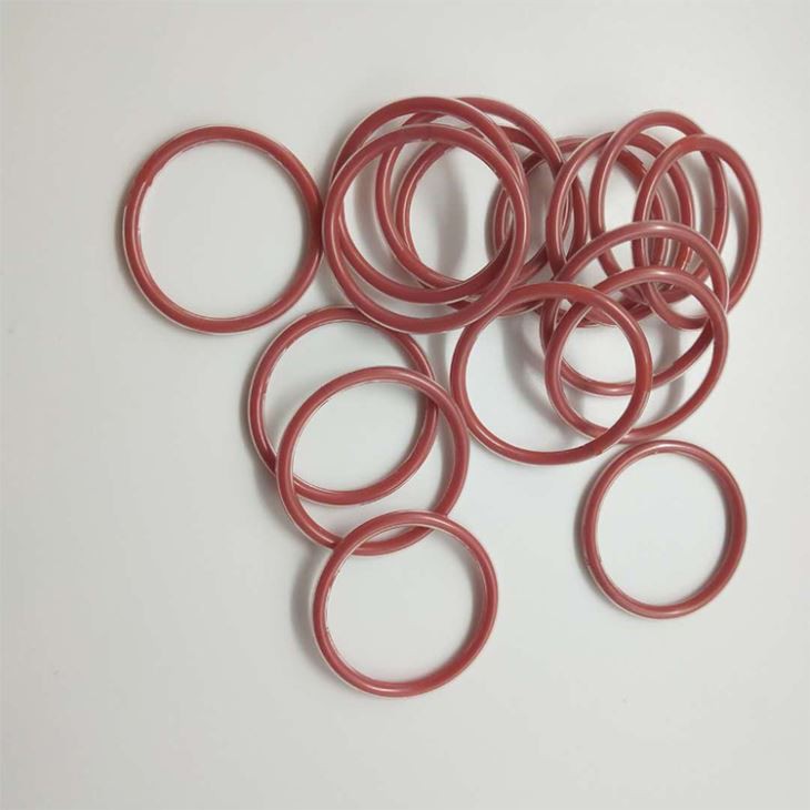 Ptfe Encapsulated Viton O Ring